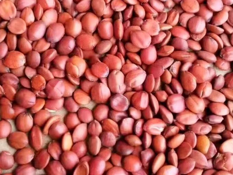 醫(yī)藥行業(yè)